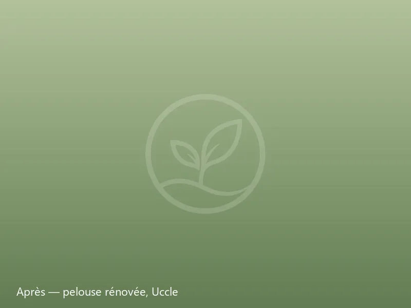 Après rénovation par Only Way Garden : pelouse dense et verte du même jardin à Uccle