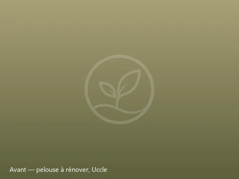 Avant rénovation : pelouse jaunie et clairsemée d'un jardin à Uccle, Bruxelles